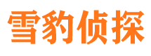 龙凤寻人公司